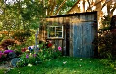 Shed in the light.jpg